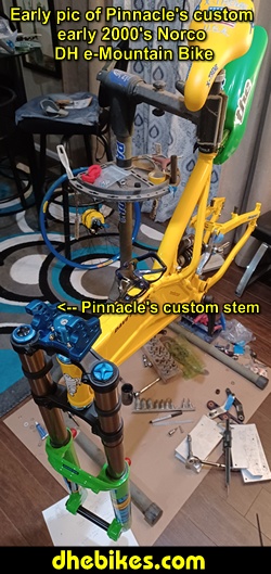 Click here to visit downhill ebikes.com